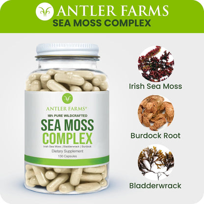 Antler Farms Sea Moss Complex - Bladderwrack, Burdock Root, 130 Capsules | Wildcrafted Irish Sea Moss, Bladderwrack, and Burdock Root, for Wellness, Vegan-Friendly, Gluten, Soy, and Dairy Free