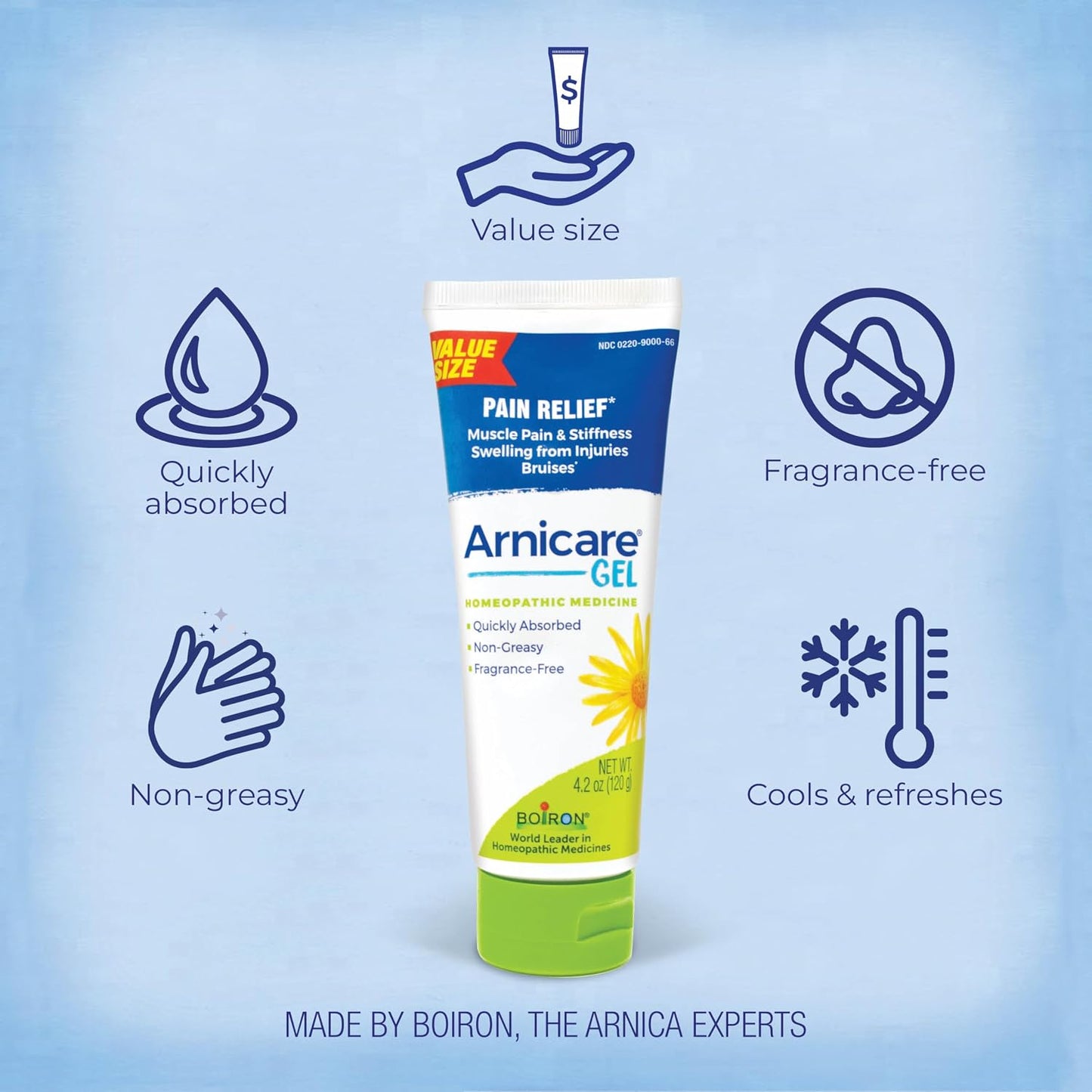 Boiron Arnicare Gel 4.2 oz (Twin Pack) for Joint Pain Relief, Muscle Pain, Muscle Soreness, and Swelling from Bruises or Injury - Non-Greasy and Fragrance-Free Arnica