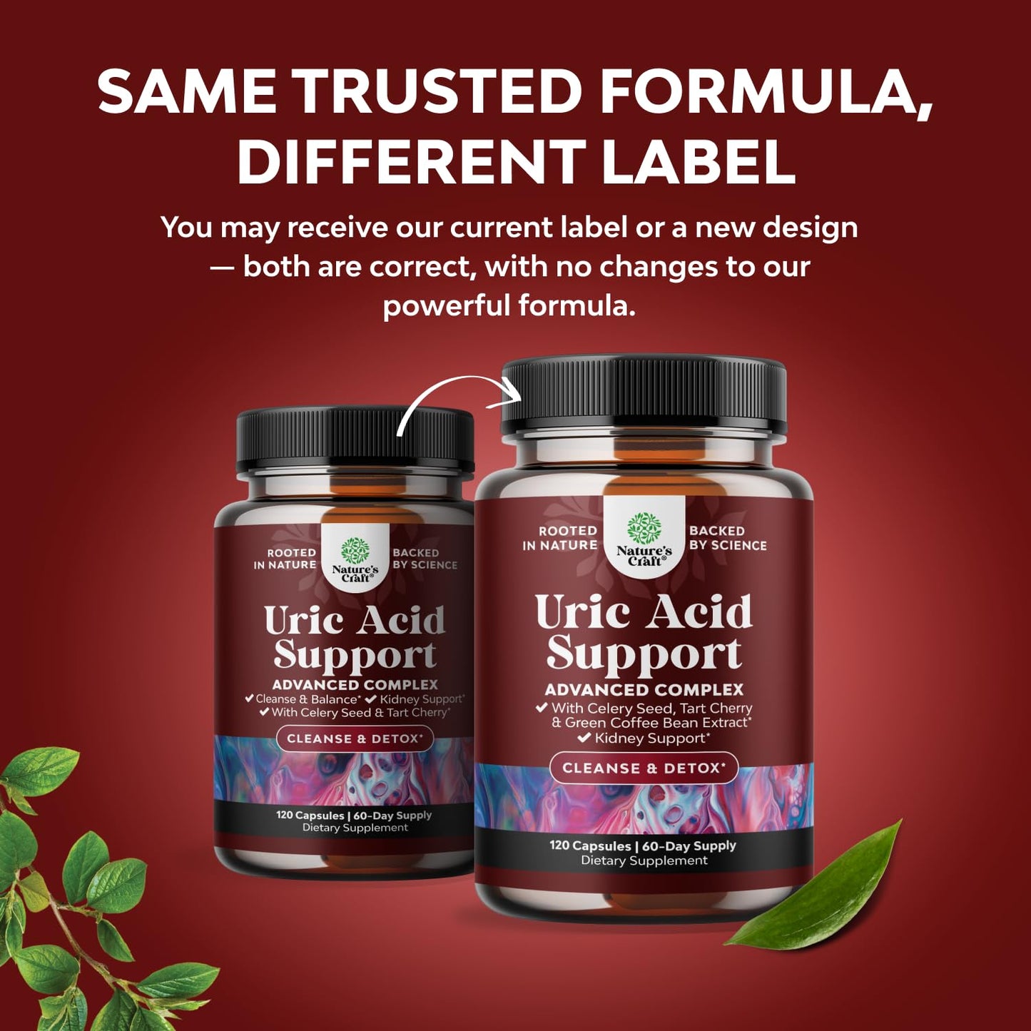 Green Coffee Bean Extract for Uric Acid Cleanse & Detox - Green Coffee Beans with Turmeric, Tart Cherry & Celery Seed for Adults - Uric Acid Flush for Antioxidant Support - Kidney Cleanser - 120 Ct