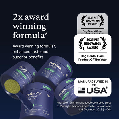 PetLab Co. ProBright Advanced Dental Powder, Small Dogs, 30 Scoops | Three-Time Award-Winning* formula shown to support tartar reduction and fresh breath in 28 days, One scoop daily
