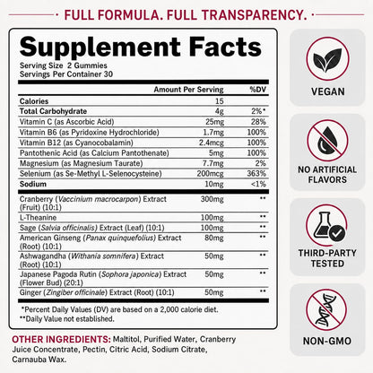 2 Pack Cranberry Gummies -Urinary Tract Health and Kidney Cleanse | High Absorption Formula with Ashwagandha, Selenium 363% DV, Ginseng&VB for Daily Antioxidant &Vitality Support-120 Gummies