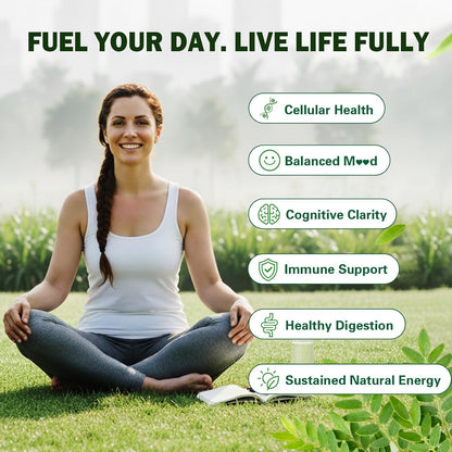 Organic Moringa Capsules 1000mg, 10:1 Leaf Extract Supplement with Turmeric & Black Pepper for Energy, Antioxidant, Immune Support, Vegan, 60 Capsules