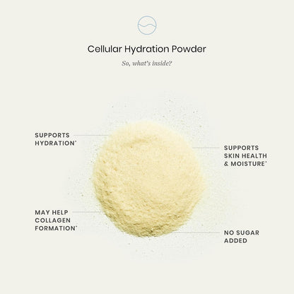 Perelel Triple-Support Plant Based Protein & Hydration Powder Bundle