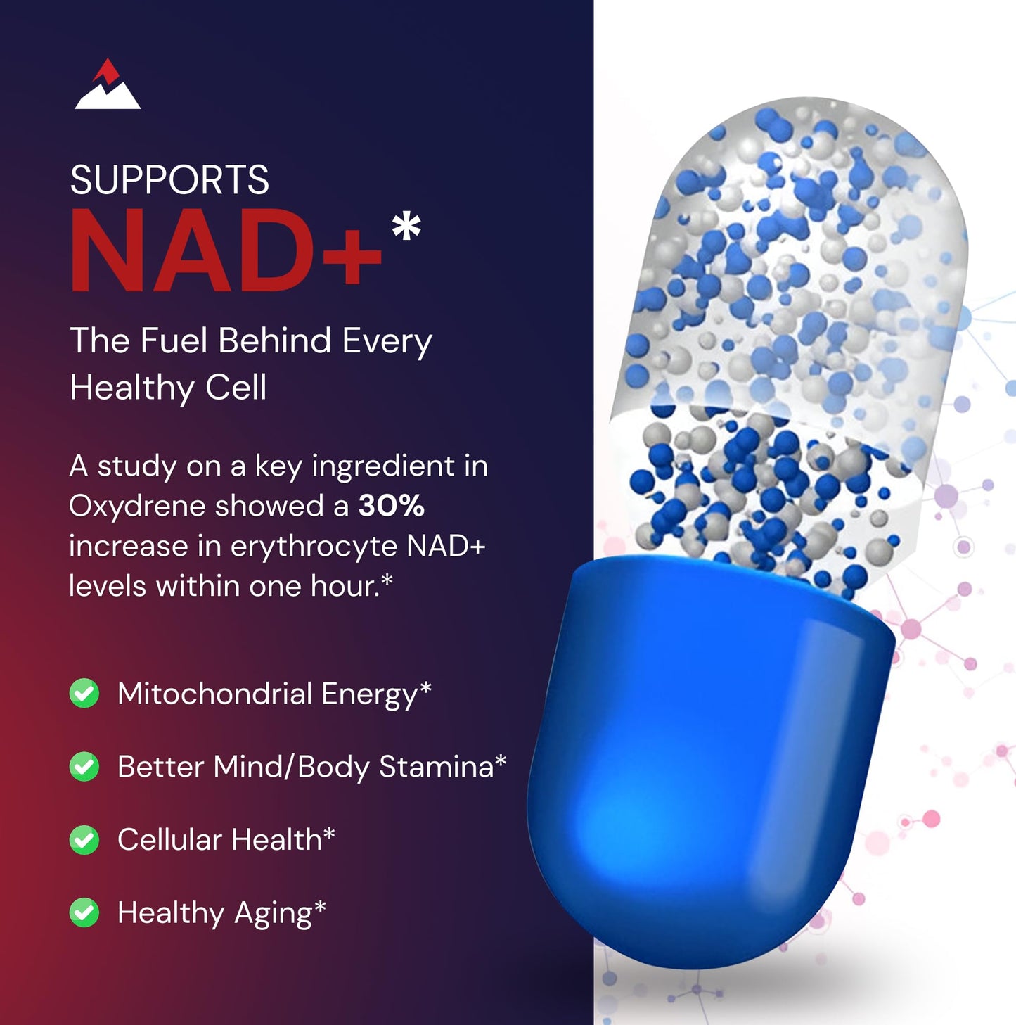 Novex Biotech Oxydrene NAD+ Enhancer - Natural Supplement Promoting Metabolism and Cardiovascular Support for Men and Women - (60 Capsules)