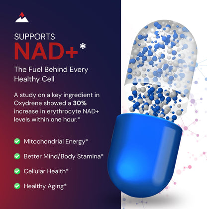 Novex Biotech Oxydrene NAD+ Enhancer - Natural Supplement Promoting Metabolism and Cardiovascular Support for Men and Women - (60 Capsules)