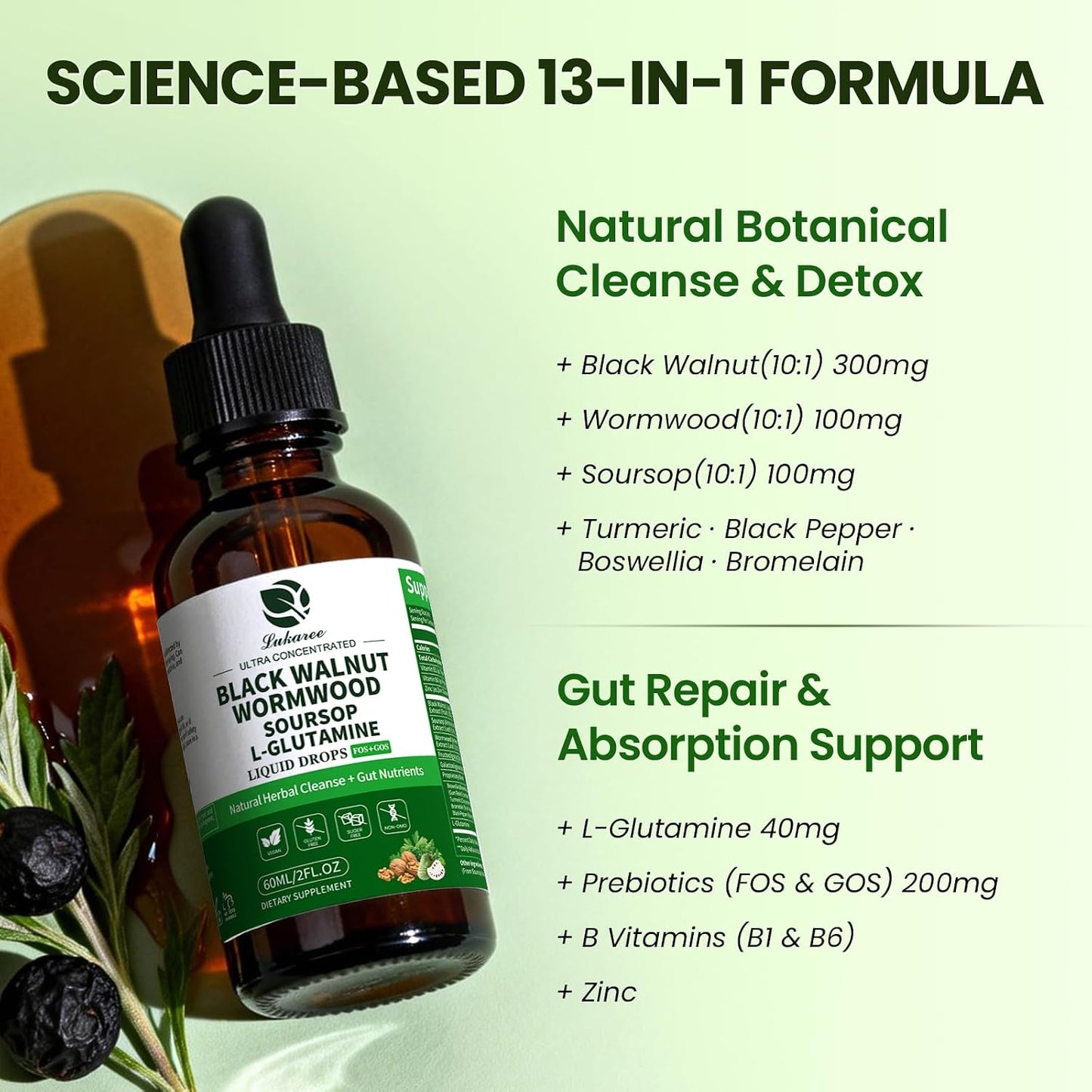 2 Pack Wormwood Black Walnut Drops- Gut Support with L-Glutamine | Gentle Intestinal Cleanse & Digestive Health – with Prebiotics & Zinc for Mood Immune & Energy – Vegan Gluten-Free