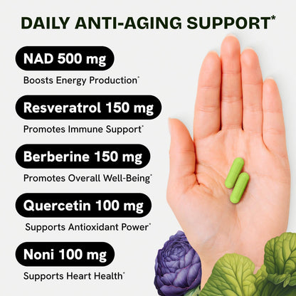 Liposomal NAD+ Supplement with Resveratrol 5-in-1 NAD Resveratrol comlex with Berberine & Quercetin | Supports Anti Aging & Cellular Energy NAD+ Levels | NR NMN Supplement Alternative – 1 pack