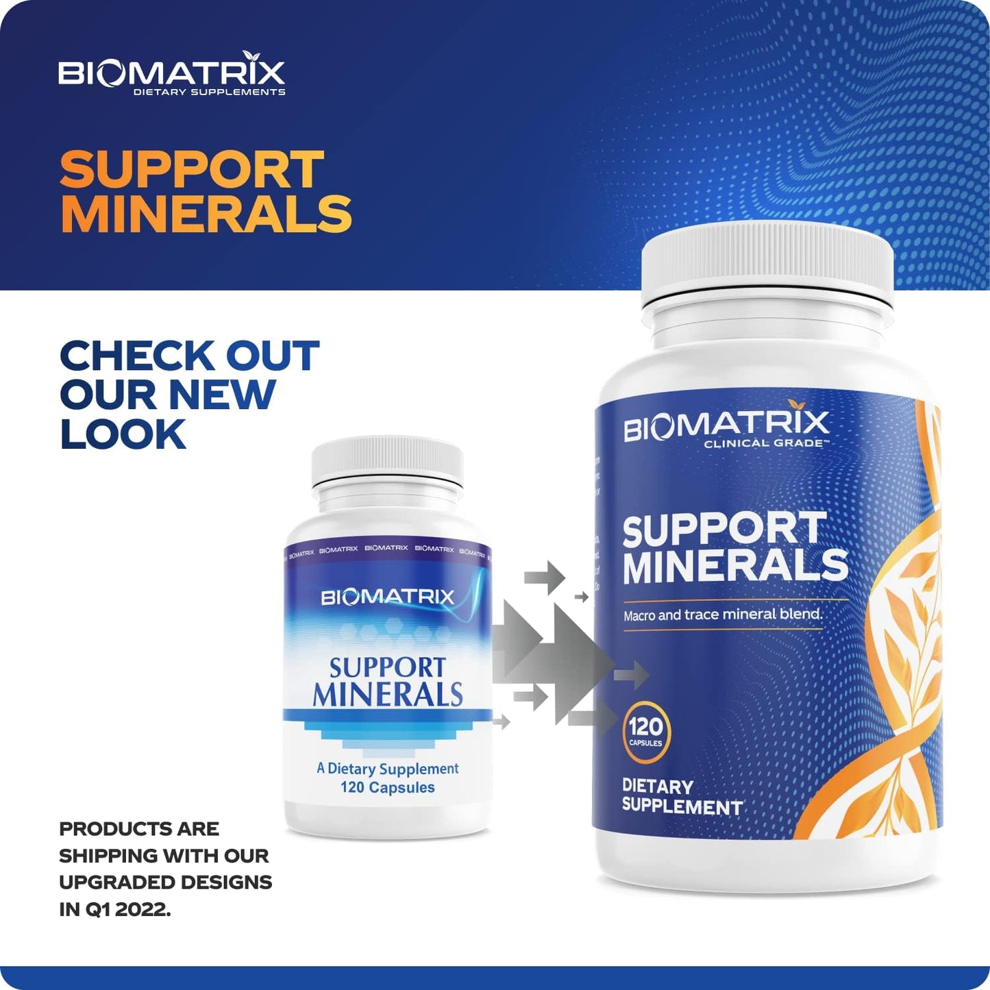 BioMatrix Chelated Mineral Supplement, Iron-Free, Calcium, Magnesium, Zinc | Albion Forms, Vitamin D3, Copper & Iodine, Bone Strength & Immune Aid, Krebs Cycle Energy, Veggie Caps, 30-Day Supply