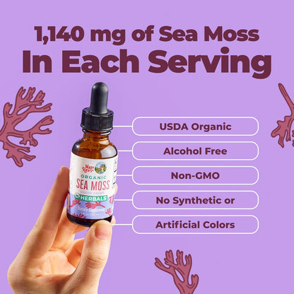 MARYRUTH'S Organic Irish Sea Moss Liquid Drops | Chondrus Crispus | Wild Harvested | Organic Irish Moss Formulated for Adults & Kids Ages 14+ | Unflavored | Sugar Free | Vegan | Non-GMO | 1 Fl Oz
