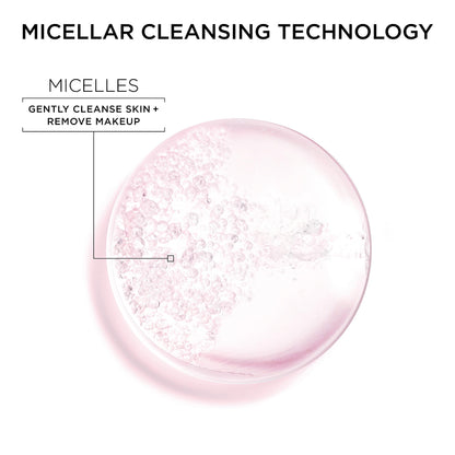 Garnier Back to School Bundle|Micellar Water (400mL) + Fructis Sleek & Shine