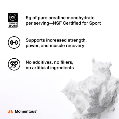 Momentous Creatine Monohydrate Powder - Creatine Powder - Supports Strength, Lean Muscle, & Recovery for Men & Women - NSF Certified for Sport - 5 g per Serving - 90 Servings