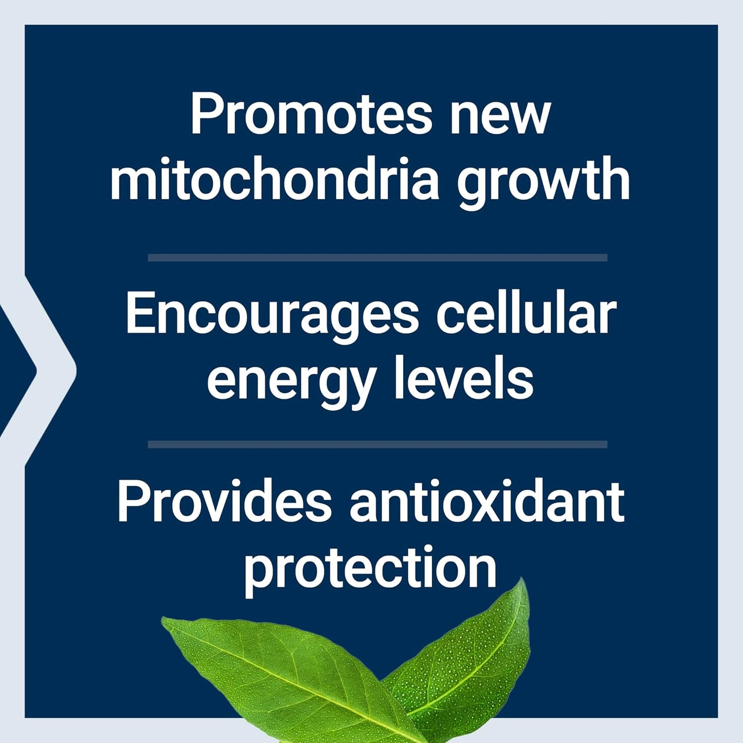 Life Extension PQQ, pyrroloquinoline Quinone, 20 mg, Promotes The Growth of New Mitochondria, Gluten-Free, Non-GMO, Vegetarian, 1 Daily, 30 Capsules | Pyrroloquinoline Quinone Promotes Cellular Energy & Mitochondrial Health, Take 1 Daily, Gluten-Free, Non