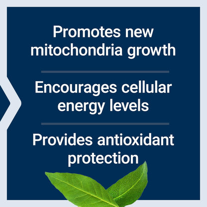 Life Extension PQQ, pyrroloquinoline Quinone, 20 mg, Promotes The Growth of New Mitochondria, Gluten-Free, Non-GMO, Vegetarian, 1 Daily, 30 Capsules | Pyrroloquinoline Quinone Promotes Cellular Energy & Mitochondrial Health, Take 1 Daily, Gluten-Free, Non