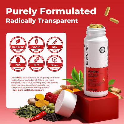 OxyEnergy AMPK Metabolic Activator Weight Loss Supplement for Women & Men, Raspberry Ketones & Green Tea Extract for Fat Burning, Metabolism Boost & Energy Support, 60 Capsules