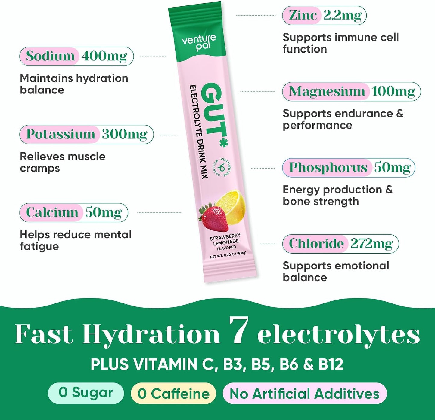 Venture Pal 2-in-1 Hydration Electrolytes Bundle – Gut Health + Immune Support Powder Packets, 7 Electrolytes, Vitamins & Probiotics, Elderberry, Turmeric, Sugar Free Drink Mix, 32 Sticks
