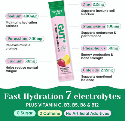 Venture Pal 2-in-1 Hydration Electrolytes Bundle – Gut Health + Immune Support Powder Packets, 7 Electrolytes, Vitamins & Probiotics, Elderberry, Turmeric, Sugar Free Drink Mix, 32 Sticks