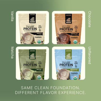 Dr. Murray's USDA Organic Plant Based Protein Powder | 20g Protein | 6g Fiber | Vegan & Keto | Gluten & Dairy Free | Low Carb | No Added Sugar | Matcha, 1 lb.