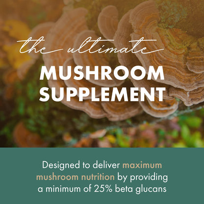 PURE ESSENCE LABS Organic Turkey Tail 4X Mushroom Extract, Vegan Mushrooms Supplement for Immune Building, 30 Capsules