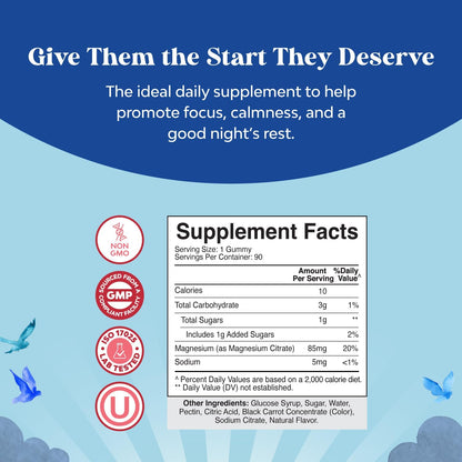 Kids Magnesium Gummies - Calm Relaxing Mg Citrate Supplement with Raspberry Flavor - Calm Magnesium Supplement for Nerve Health Muscles & Healthy Heart Support - Mag Citrate Gummies - 90 Count