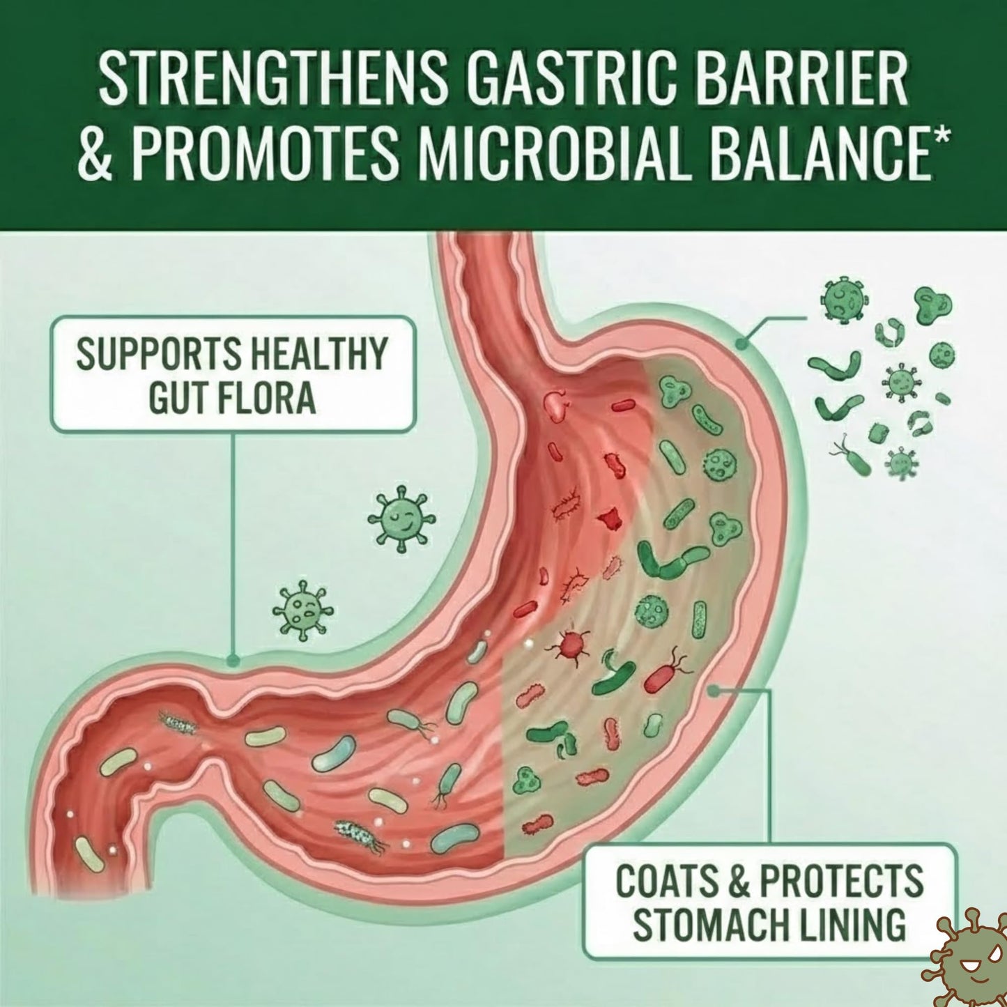 Approved Science Pyloriprin - Advanced Digestive Support for A Healthy Stomach - Zinc L-Carnosine, Probiotic, Broccoli Sprout, Deglycyrrhized Licorice - 60 Capsules - One Month Supply - Vegan