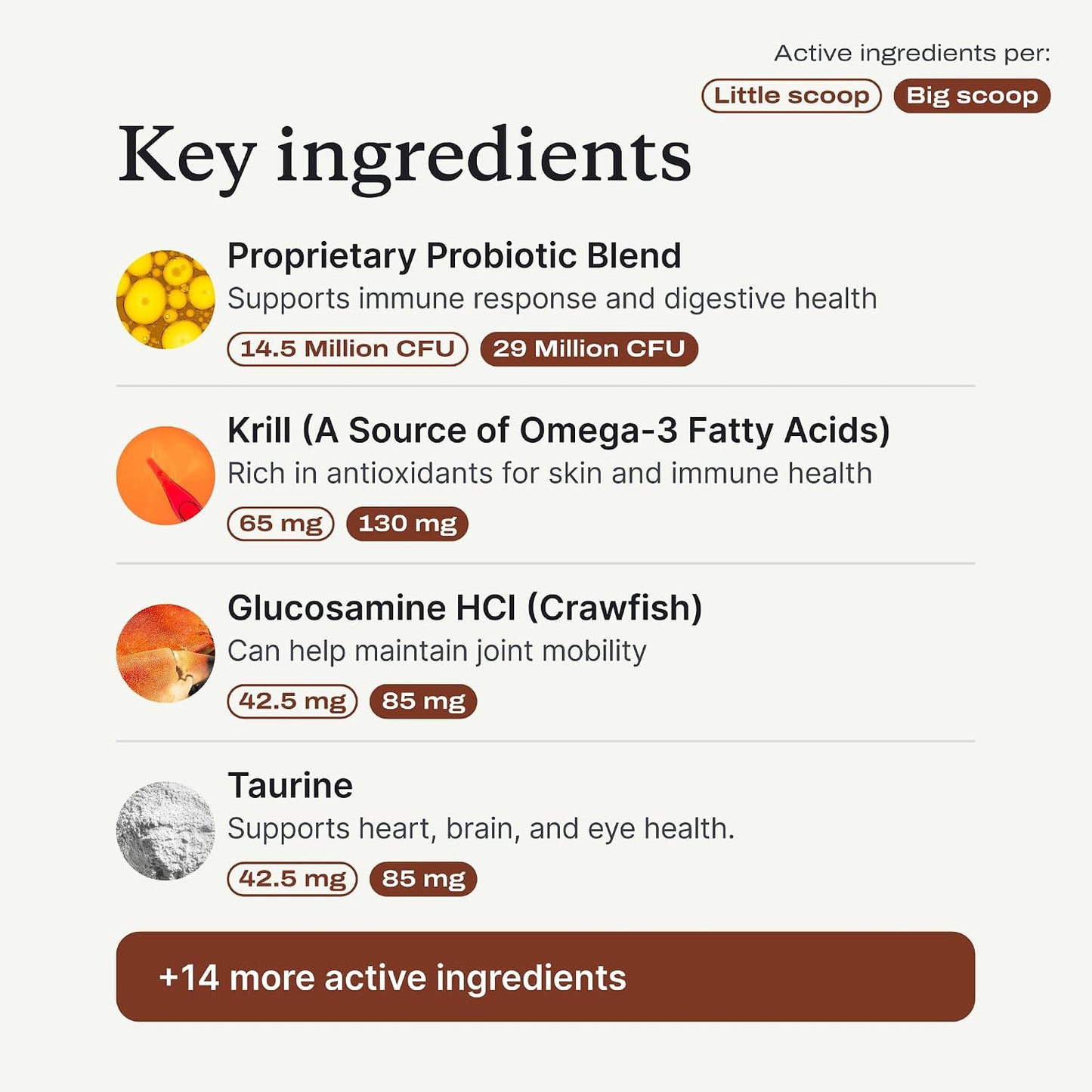 PetLab Co. DF-14 Daily Foundation Supplement for Small Dogs | Gut, Joint, Skin, Immune, Heart and Brain Support, Daily Powder, All Breeds