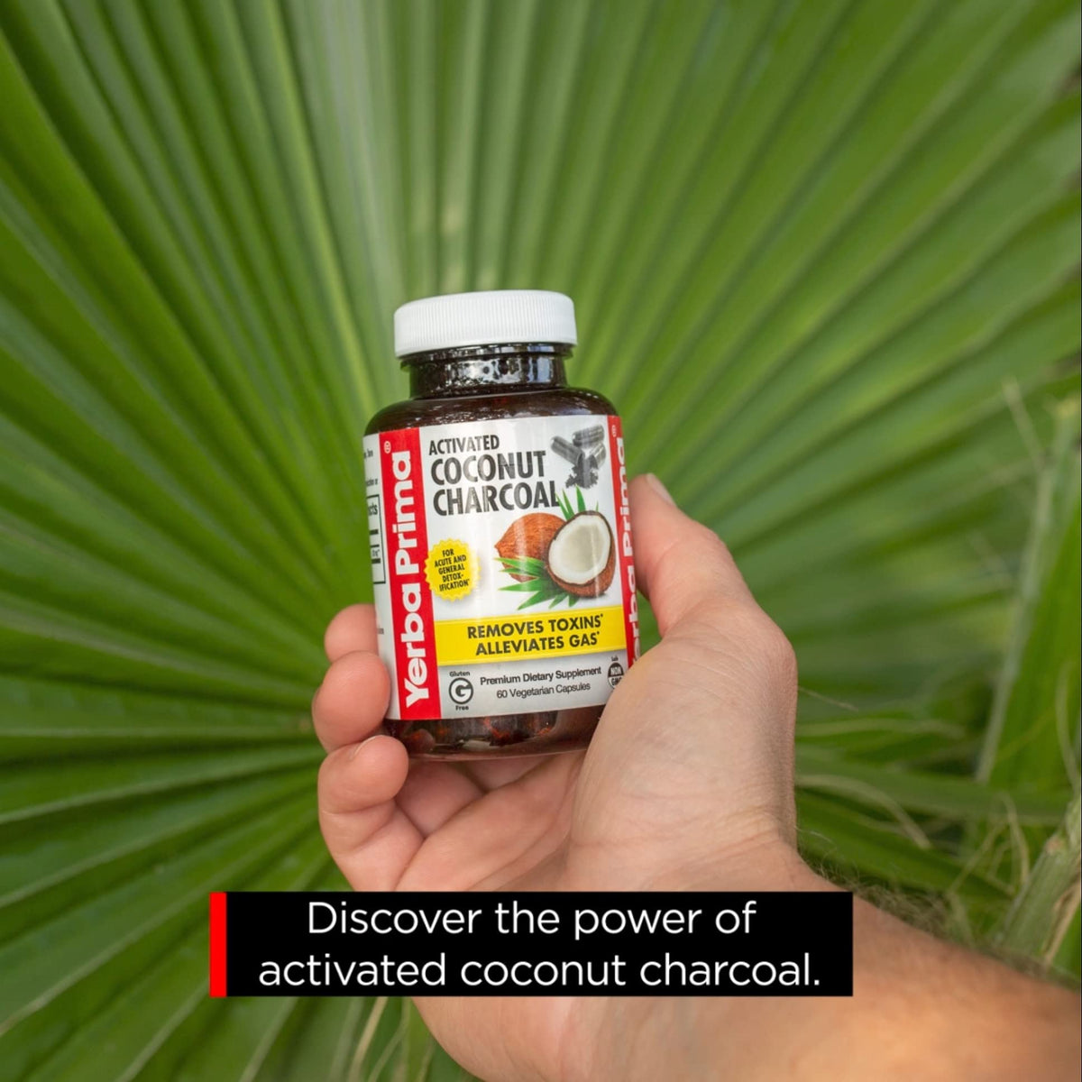 Yerba Prima Activated Coconut Charcoal, 60 Capsules - Natural Detox - Vegetarian, Vegan, Gluten Free, Non GMO