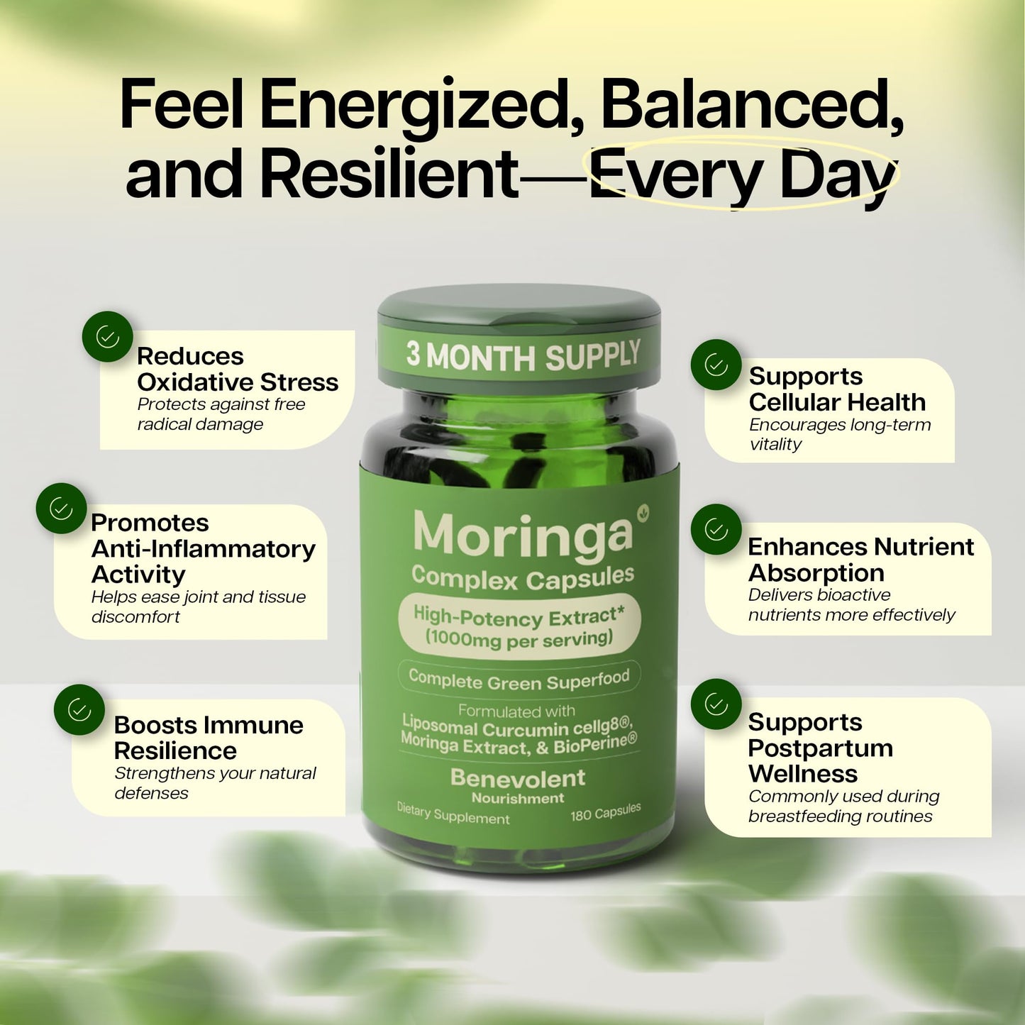 Benevolent Moringa Capsules with Liposomal Curcumin & BioPerine® – High-Potency Moringa Supplement for Antioxidant Support, Immune Resilience, Breastfeeding Support & Nutrient Absorption – 180 Count