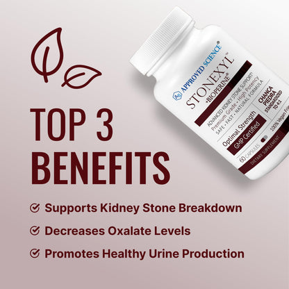 Approved Science Stonexyl - Herbal Support for Kidney Stones - 60 Capsules - Chanca Piedra - High Absorption -1 Month Supply - Vegan