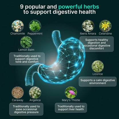 IBShield Tincture 100ml | 6+3=9 Herbs | Iberis Amara, Peppermint, Chamomile, Lemon Balm, Caraway, Licorice, Angelica, Celandine & Mary's Thistle | Original Herbal Formula Supports Digestive Wellness