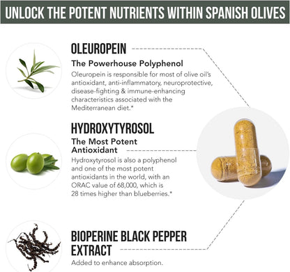 Total Olive® - Olive Leaf Extract (40% Oleuropein) Plus Olive Fruit Extract (20% Hydroxytyrosol) – Full Spectrum Extract Grown & Extracted in Spain – BioPerine Absorption Enhancement (60 Count)