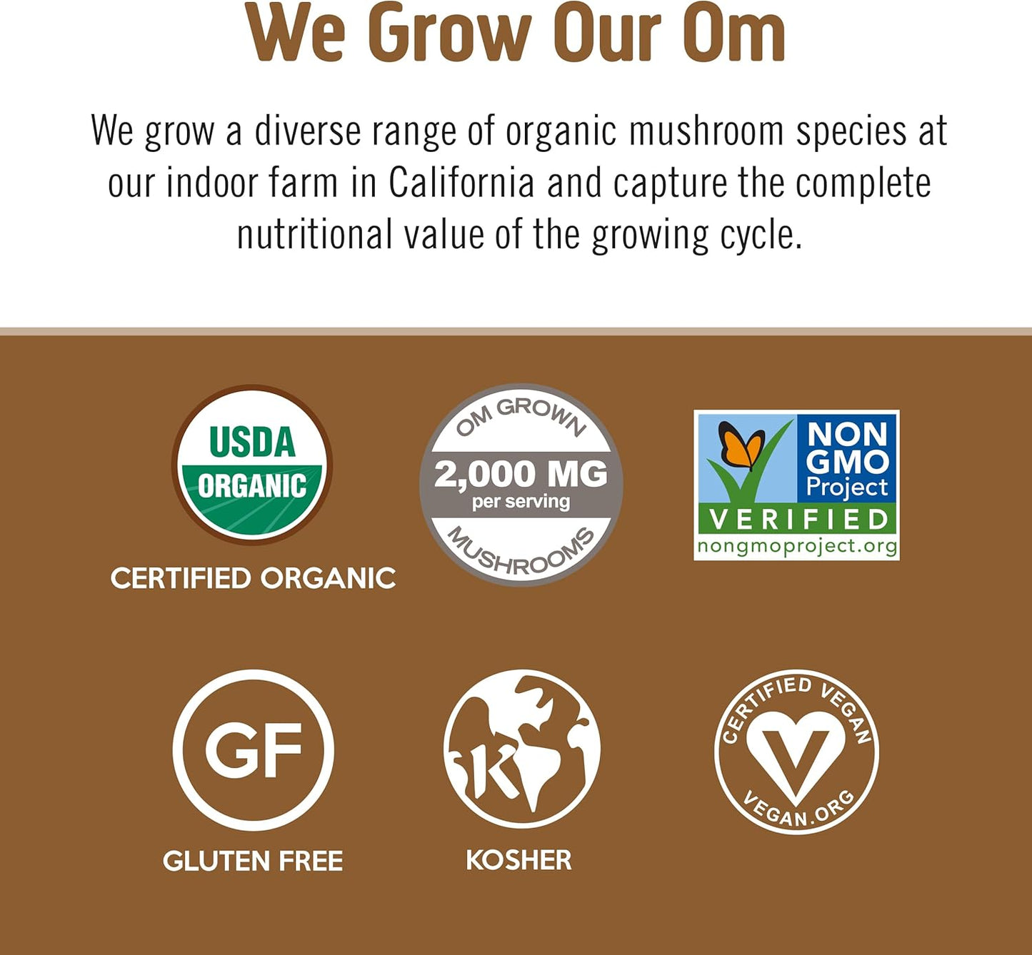 OM MUSHROOM SUPERFOOD Coffee Latte Blend – Functional Mushroom Powder with Lion’s Mane & Cordyceps – Energy, Focus & Mental Clarity Support – 8.47 oz Canister (30 Servings)