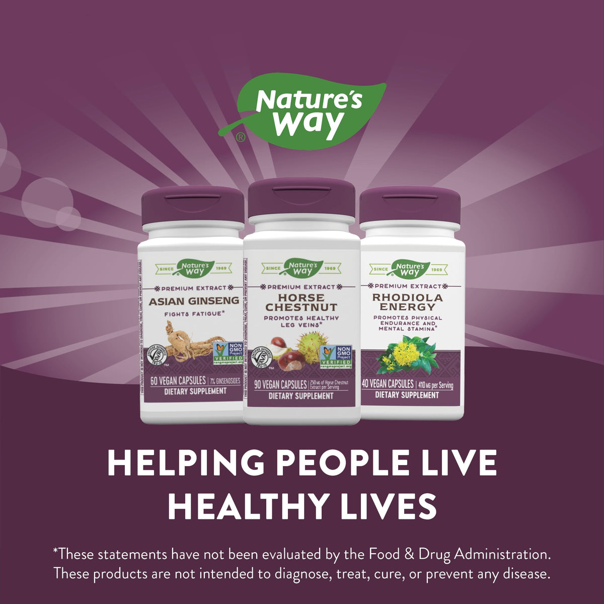 Nature's Way Standardized Horse Chestnut, Premium Extract for Healthy Veins and Blood