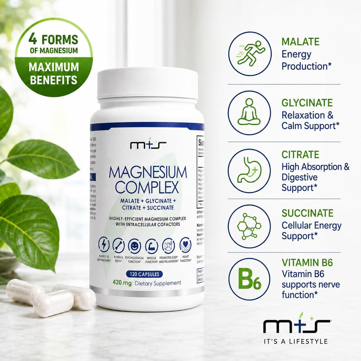 M+S Magnesium Complex 420mg, Glycinate, Citrate, Malate, Succinate