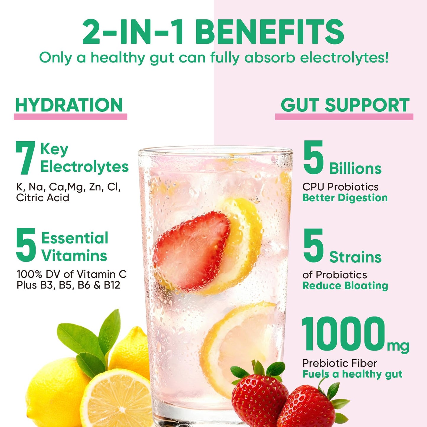 Venture Pal Sugar Free Hydration Packets + Gut Health Electrolytes Powder | Liquid Daily IV with 7 Electrolytes, 5 Vitamins, Probiotics & Fiber for Dehydration Relief and Gut Health Support