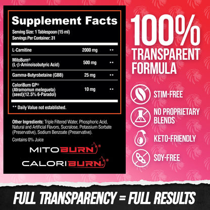 ALPHA LION Burn2O L-Carnitine Liquid 2000mg – Stim Free Super Thermogenic Fat Burner with MitoBurn® & CaloriBurn GP®, Metabolism Booster, Zero Calorie, Sugar-Free (31 Servings, Grapezilla Flavor)