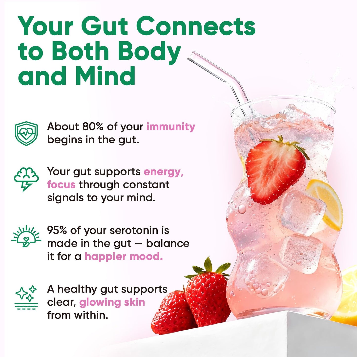 Venture Pal Sugar Free Hydration Packets + Gut Health Electrolytes Powder | Liquid Daily IV with 7 Electrolytes, 5 Vitamins, Probiotics & Fiber for Dehydration Relief and Gut Health Support