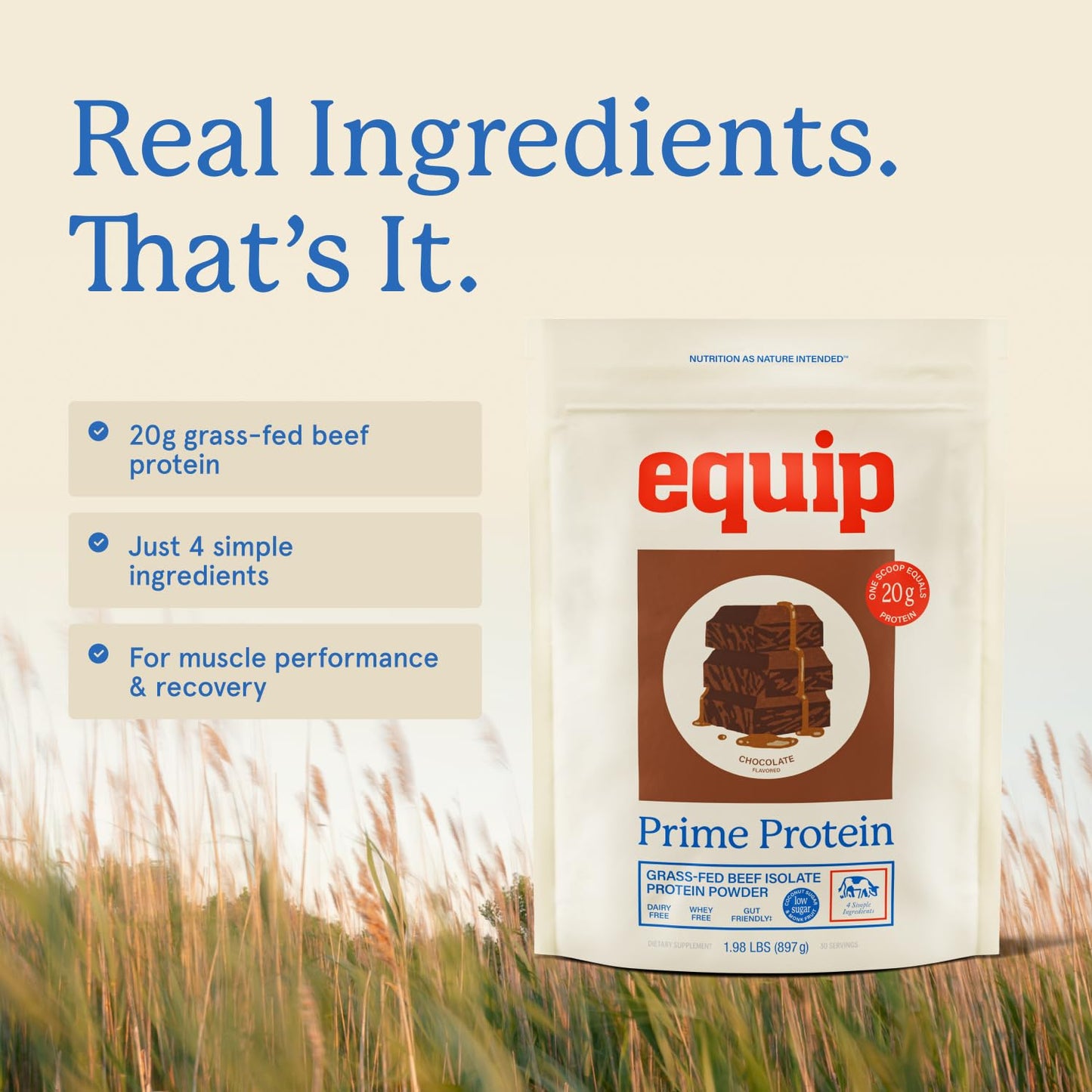 Equip Prime Chocolate Protein Powder - Gut-Friendly, No Sugar Protein Shake Powder with Grass-Fed Beef & Natural Collagen - Rich & Creamy Mix - 21g Per Serving - Whey & Dairy-Free (30 Scoops)