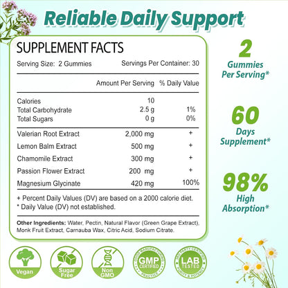 2 Pack Organic Valerian Root Gummies for Sleep, Melatonin Free, 120 Count | Natural herbal supplement for relaxation, calm and restful sleep. Vegan, non-GMO, gluten free, green grape flavor.