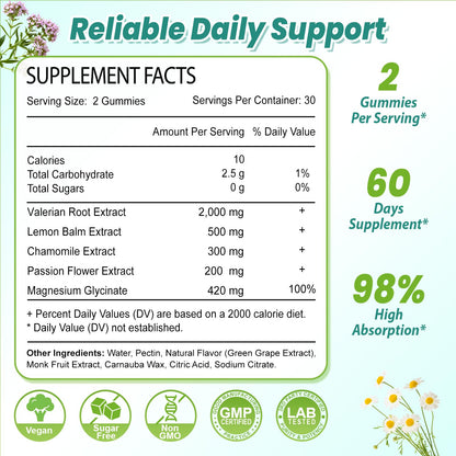 2 Pack Organic Valerian Root Gummies for Sleep, Melatonin Free, 120 Count | Natural herbal supplement for relaxation, calm and restful sleep. Vegan, non-GMO, gluten free, green grape flavor.