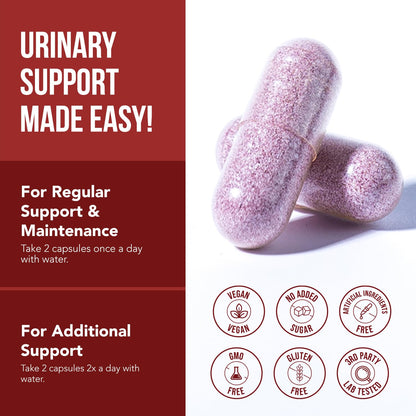 CranEaze®: Cranberry Juice Extract Plus D-Mannose – 36 mg PAC, 100% Soluble PAC - Supports Urinary Tract Health – Most Effective Cranberry Pills for Women, UTI Cranberry Supplement - 60 Capsules