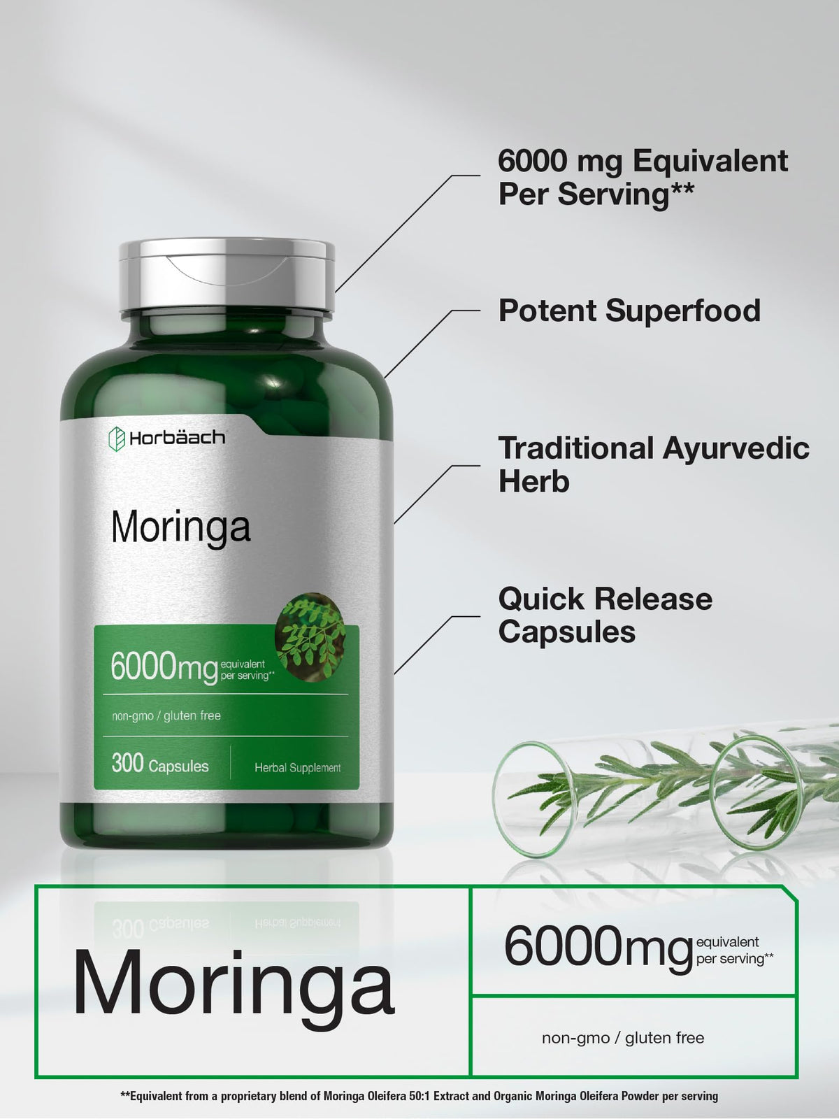 Horbäach Moringa Oleifera | 6000mg | 300 Powder Capsules | Non-GMO and Gluten free