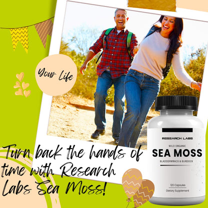 Research Labs 2 Fer 1 Ad Organic Irish Sea Moss Capsules 240 Total Pills, Raw Wildcrafted Seamoss Enhanced w/Bladderwrack & Burdock Root Antioxidant Powerhouse. Thyroid Support