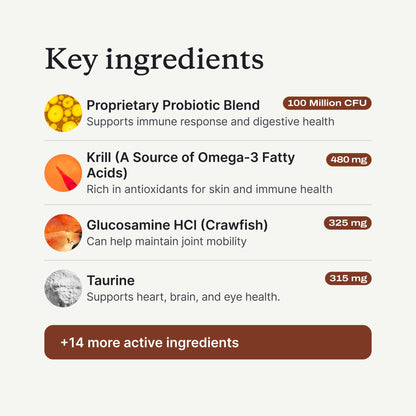 PetLab Co. DF-14 Daily Foundation Supplement for Small Dogs | Gut, Joint, Skin, Immune, Heart and Brain Support, Daily Powder, All Breeds