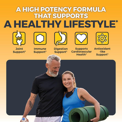 Viva Naturals Turmeric and Ginger Supplement with Black Pepper for Better Absorption - Organic Turmeric Curcumin to Support Joint, Heart and Digestive Health, Non-GMO - 120 Tablets