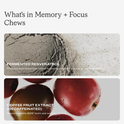 HumanN Memory and Focus Chews, Brain Supplement for Mental Alertness with Beet Root Powder, Clinically Studied Nootropics, Resveratrol Plus Beet Root Powder, Blueberry Pomegranate Flavor, 30 Count