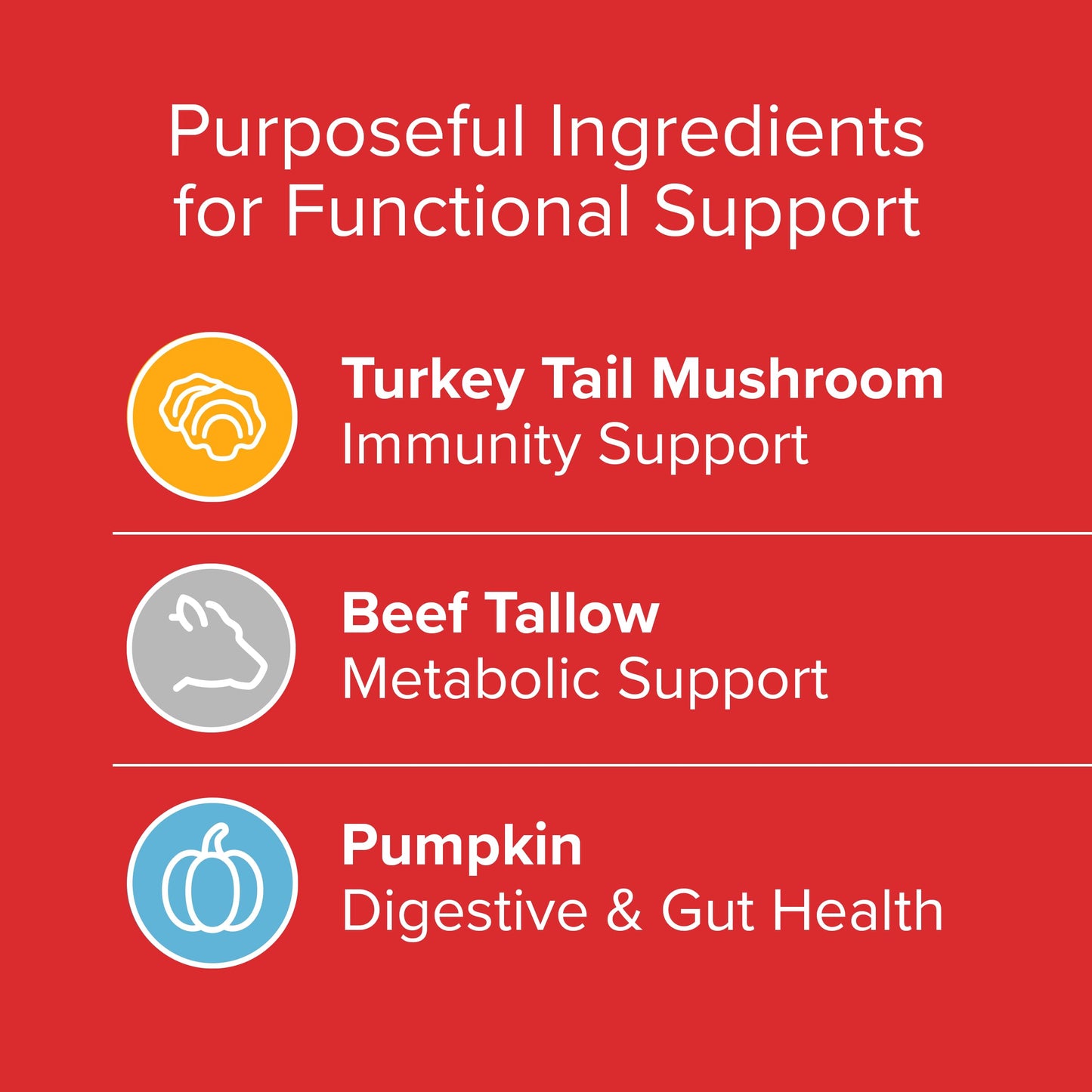 PLATO Pet Treats Air-Dried Wellness Chews for Dogs – Functional Dog Chews – Supports Immunity & Gut Health – Turkey Tail Mushroom, Pumpkin & Beef Tallow Recipe 8oz