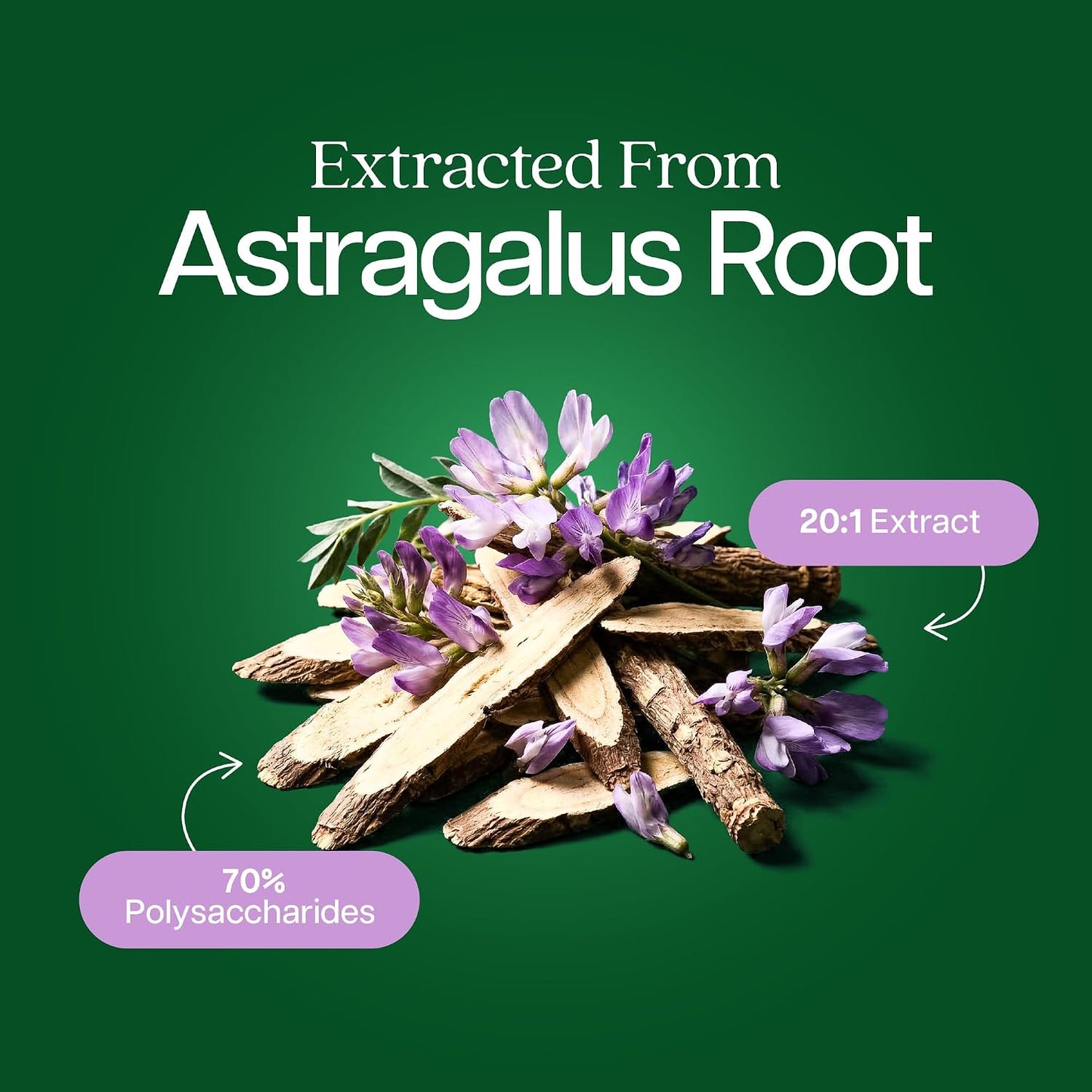 Astragalus Root, 8 Month Supply, Immune Support, 20:1 Astragalus Extract | 20:1 Astragalus Extract, 70% Polysaccharides, High-Concentration Adaptogen Support for Energy & Vitality, Vegan, 250 Capsules