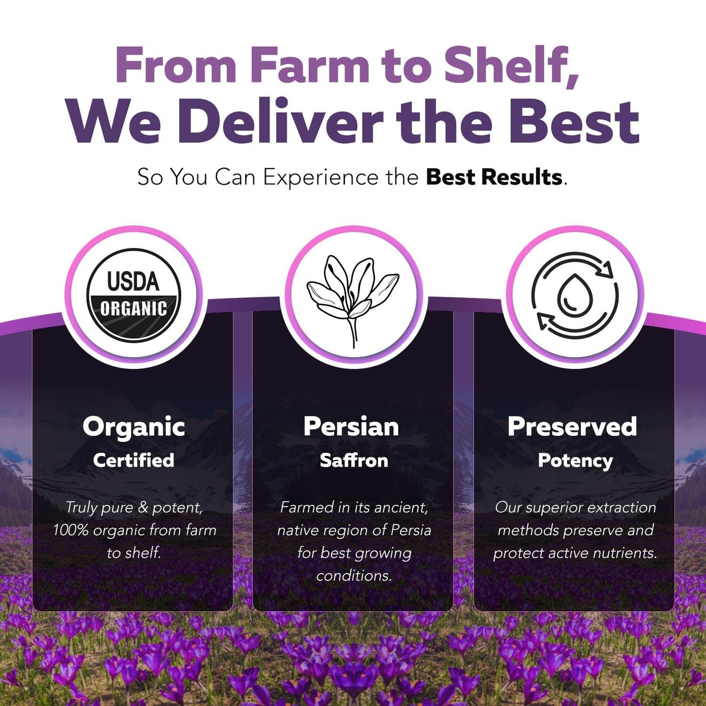 Organic Saffron Extract: Optimized Extract with Safromotivines, Safranal, and Crocins – Clinically Studied | Premium Persian Sargol Quality | Supports Mood, Calmness, and Relaxation – 30 Servings