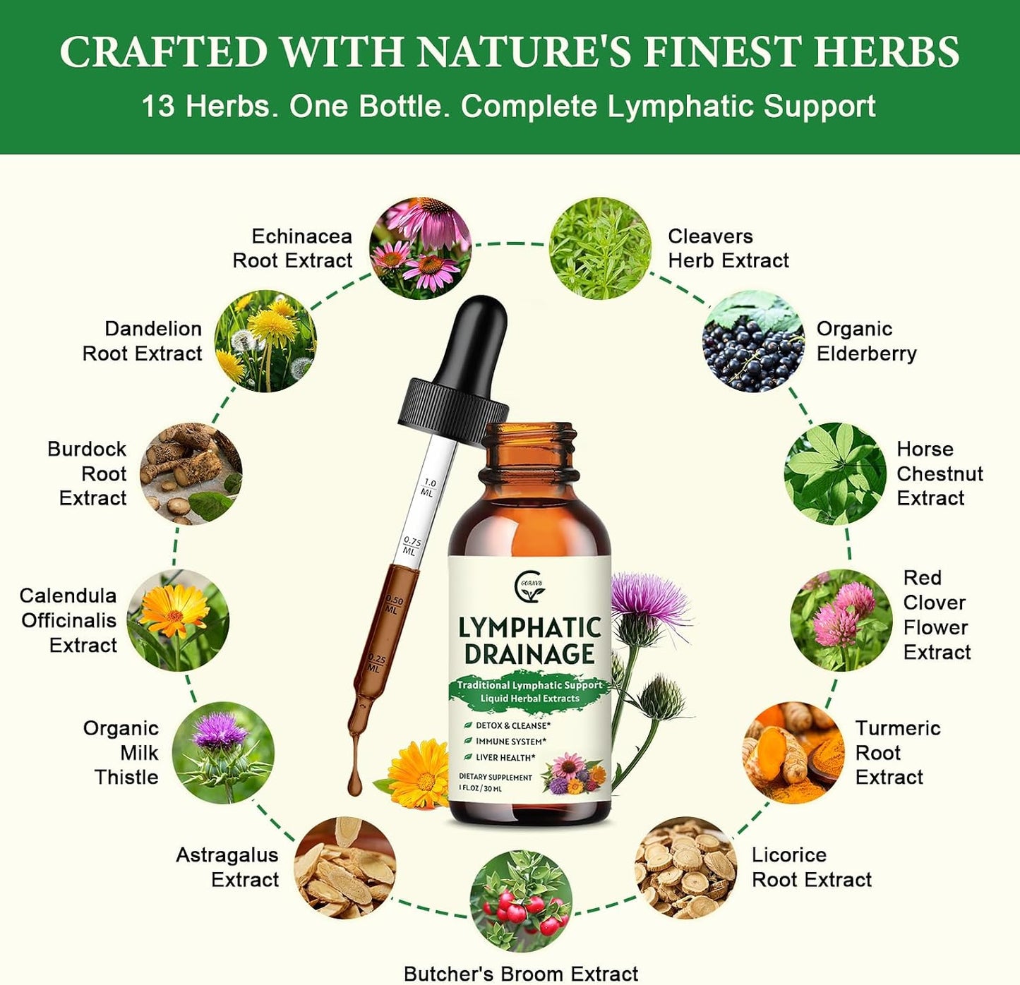 GORNVB Lymphatic Drainage Drops, Lymphatic Drainage Supplements with Echinacea, Cleavers, Dandelion, Red Clover, Horse Chestnut for Swelling Relief, Heavy Legs, Immune & Detox Support, Vegan, 2 fl oz