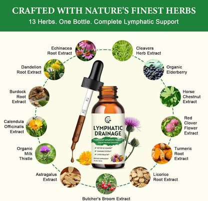 GORNVB Lymphatic Drainage Drops, Lymphatic Drainage Supplements with Echinacea, Cleavers, Dandelion, Red Clover, Horse Chestnut for Swelling Relief, Heavy Legs, Immune & Detox Support, Vegan, 2 fl oz